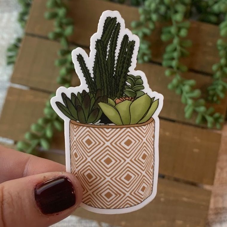 Boho Succulent Vinyl Sticker